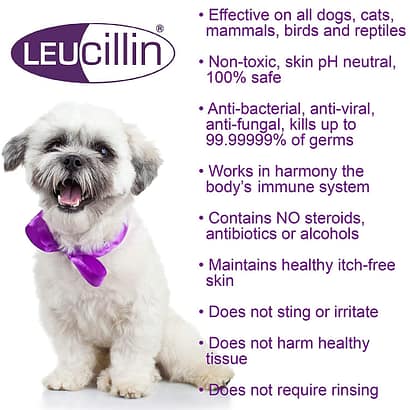 Leucillin Antiseptic Skincare Spray 1 Leucillin Features & Benefits Info with small white dog image