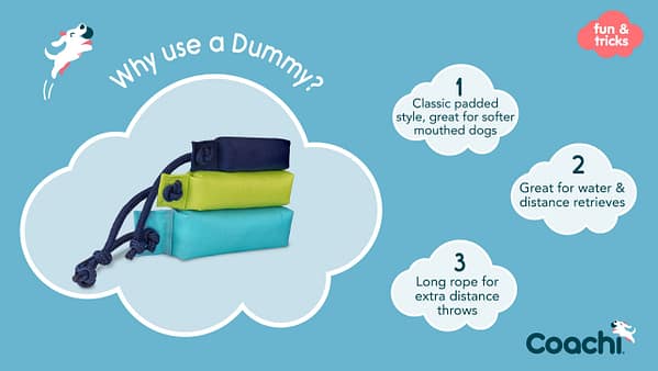 Coachi Dummy Why Use Coachi Dummy Why Use