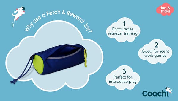 Coachi Fetch & Reward Why Use Coachi Fetch & Reward Why Use