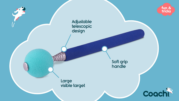 Coachi Target Stick F&B Coachi Target Stick F&B