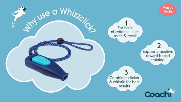 Coachi Whizzclick Why Use Coachi Whizzclick Why Use