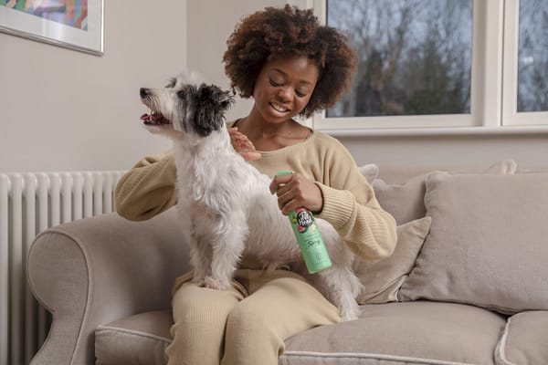 PET-684_HR_MASTER_Furtastic lifestyle spray PET-684_HR_MASTER_Furtastic lifestyle spray