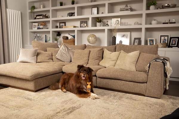 PET-951_HR_MASTER_Lifestyle Ditch the dirt 3 PET-951_HR_MASTER_Lifestyle Ditch the dirt 3