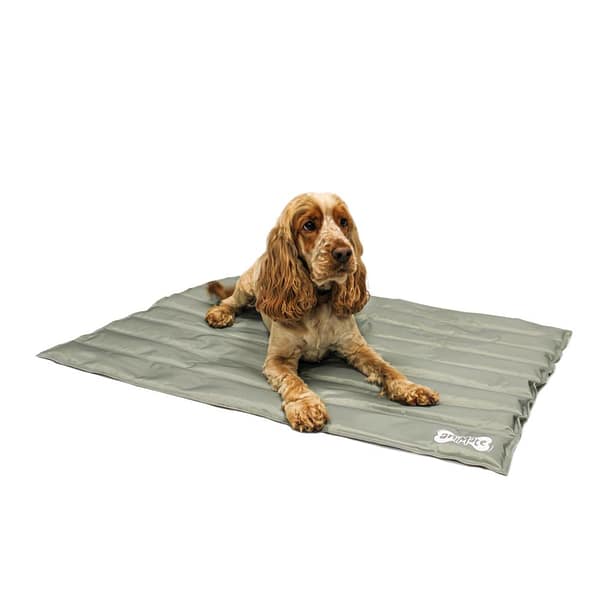 Dog sat on grey cooling mat