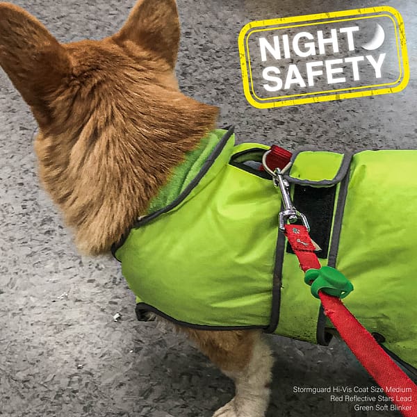 Ancol Blinker Green on Lead Ancol Blinker Green on Lead