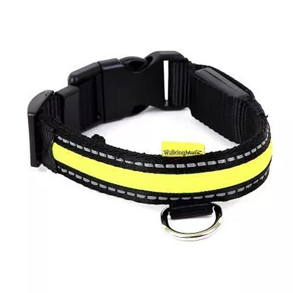 Animate Green LED Collar 1024 Animate Green LED Collar 1024