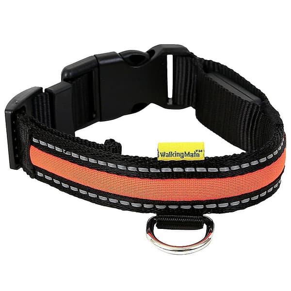 Animate Orange LED Collar 1024 Animate Orange LED Collar 1024