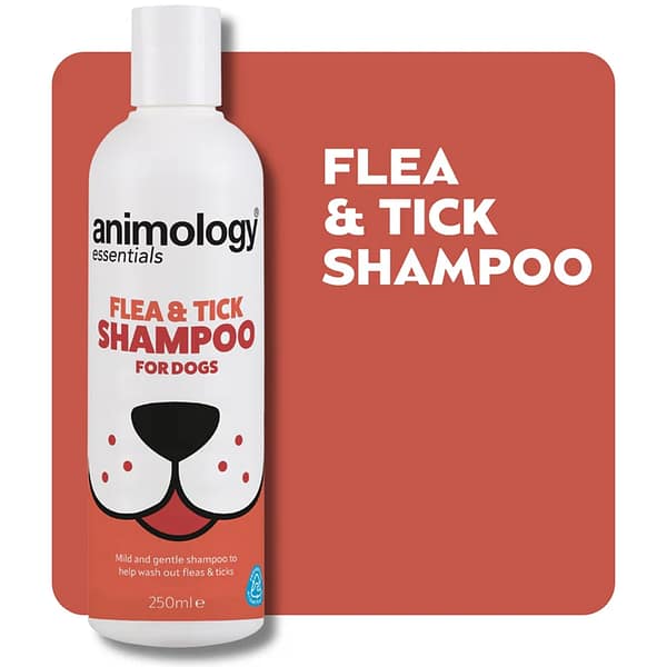 Bottle of Dog Flea Shampoo