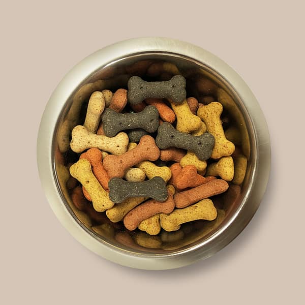 Assorted Mini Bones Bowl 1000 Assorted bone shaped dog biscuits in a bowl