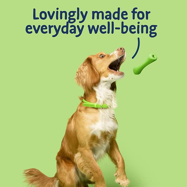 Barking Heads Lovingy Made 1080 Barking Heads Lovingy Made 1080