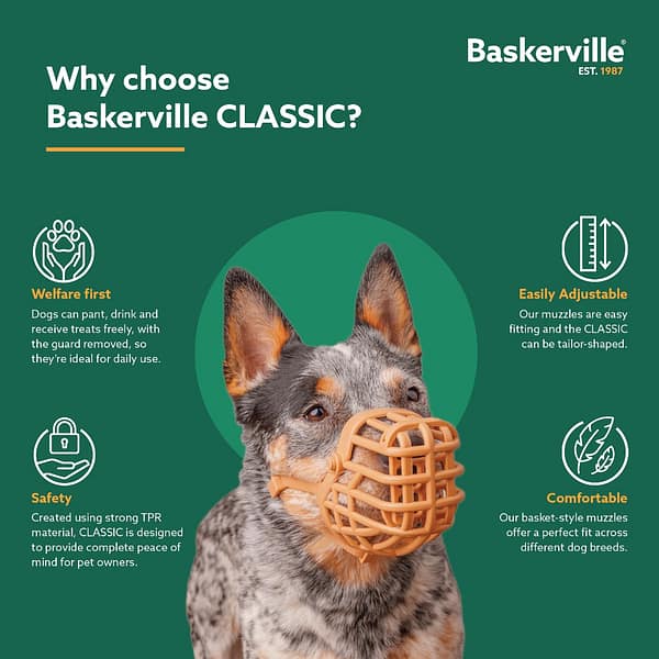 Baskerville Classic Muzzle Choose 1080 Baskerville Classic Muzzle Choose 1080