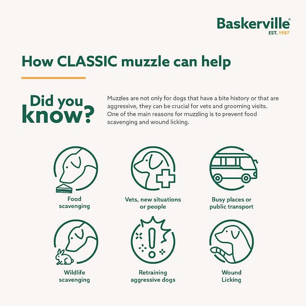 Baskerville Classic Muzzle Did You Know 1080 Baskerville Classic Muzzle Did You Know 1080