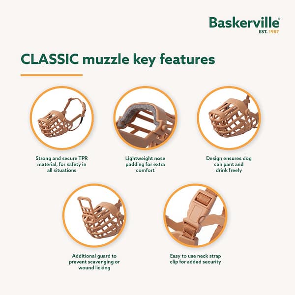 Baskerville Classic Muzzle Features 1080 Baskerville Classic Muzzle Features 1080