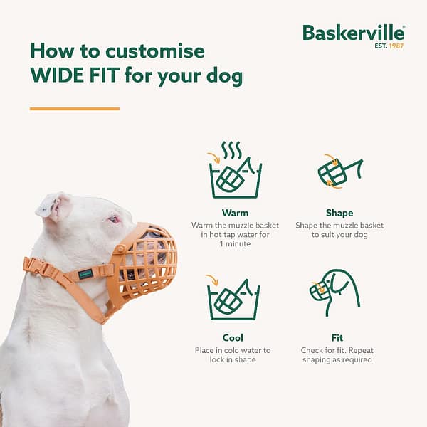 Baskerville Wide Fit Muzzles Customize Infographics 1080 Baskerville Wide Fit Muzzles Customize Infographics 1080