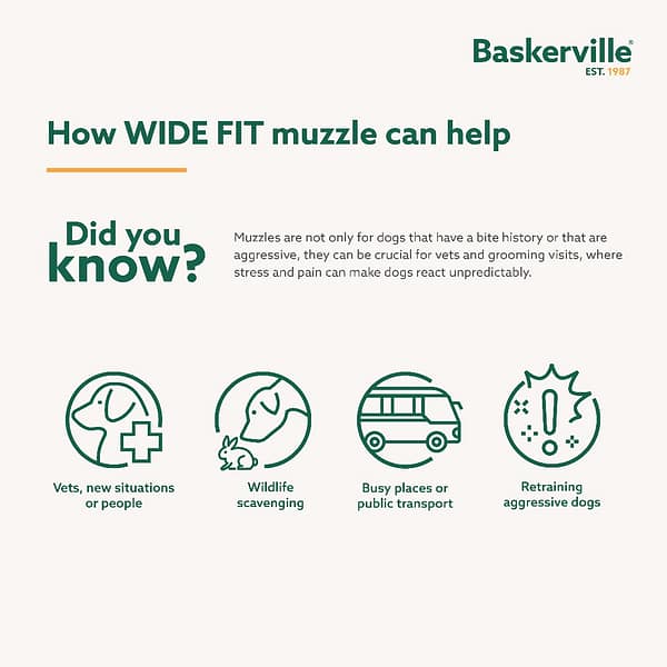 Baskerville Wide Fit Muzzles Did You Know Infographics 1080 Baskerville Wide Fit Muzzles Did You Know Infographics 1080