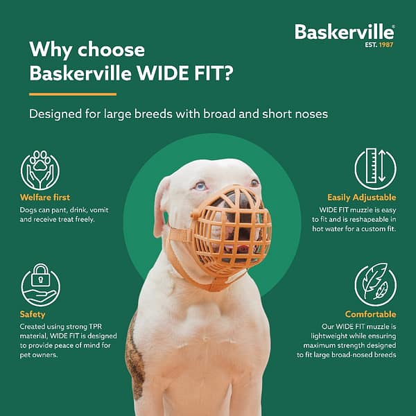 Baskerville Wide Fit Muzzles Why Choose Infographics 1080 Baskerville Wide Fit Muzzles Why Choose Infographics 1080