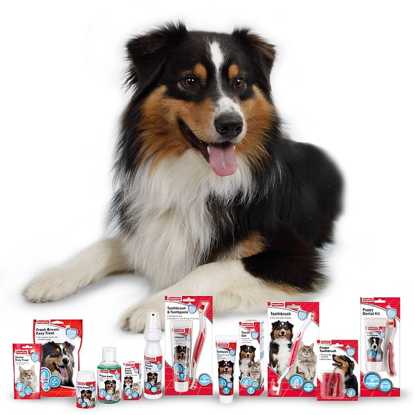 Beaphar Dental Range Dog Lifestyle Beaphar Dental Range Dog Lifestyle