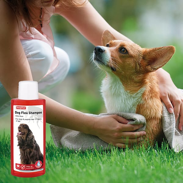 Beaphar Dog Flea Shampoo Lifestyle2 Beaphar Dog Flea Shampoo Lifestyle2