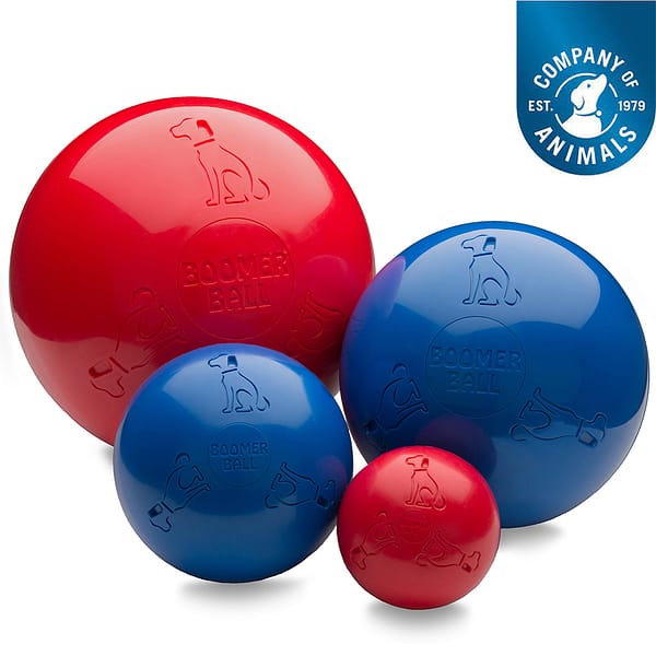 Full set of Boomer Balls - Indestructible Dog Toy in Red and Blue with Company of Animals Logo in top right corner
