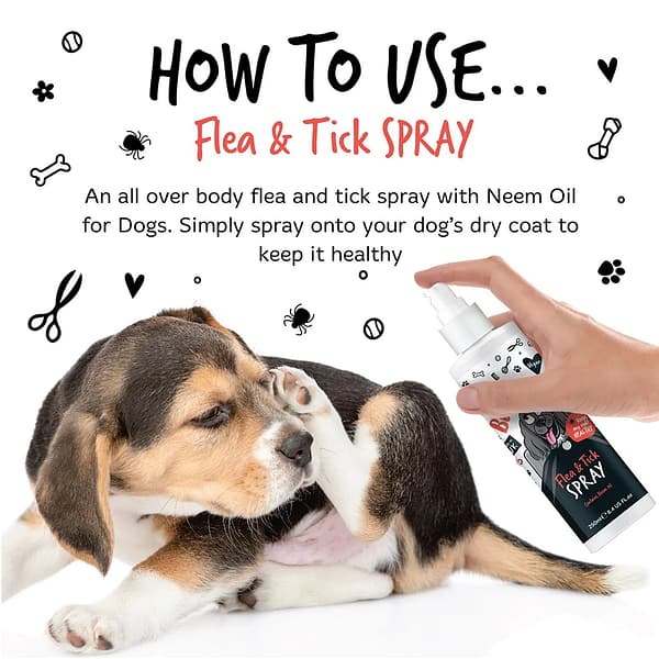 Bugalugs Flea & Tick Spray How to Use 1080 Bugalugs Flea & Tick Spray How to Use 1080