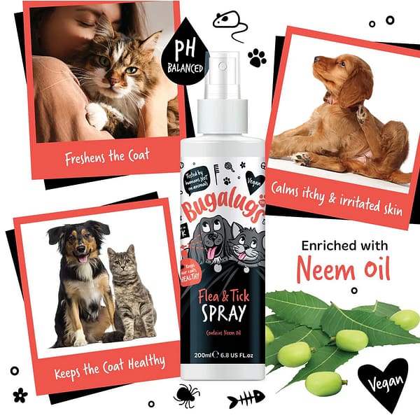Bugalugs Flea & Tick Spray Lifestyle Infographic 1080 Bugalugs Flea & Tick Spray Lifestyle Infographic 1080