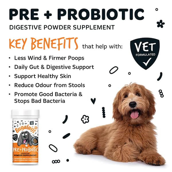 Bugalugs Pre Pro Biotic Powder Benefits Infographic 1080px Bugalugs Pre Pro Biotic Powder Benefits Infographic 1080px