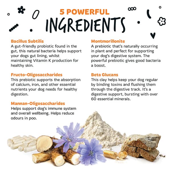 Bugalugs Pre Pro Biotic Powder Ingredients Info Infographic 1080px Bugalugs Pre Pro Biotic Powder Ingredients Info Infographic 1080px