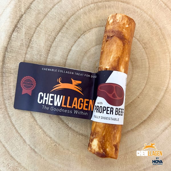 Collagen Roll Dog Treat on a log plinth