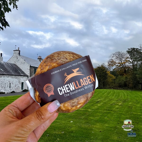 Chewllagen Beef Donuts Hand 1000 Chewllagen Beef Donuts Hand 1000