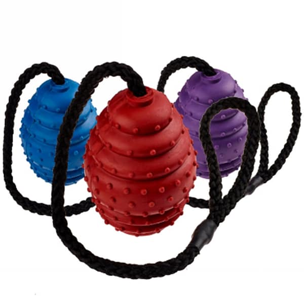 Classic 100mm Oval Ball on a rope 2384 1024