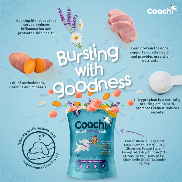 Coachi Bursting Infographic 1080px Coachi Bursting Infographic 1080px