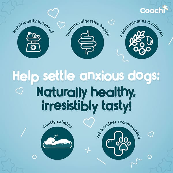 Coachi Calming Treats Anxious Dogs Infographic 1080px Coachi Calming Treats Anxious Dogs Infographic 1080px