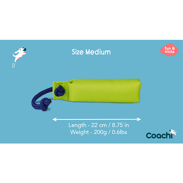 Coachi Dummy Medium Weights & Dims 1024 Coachi Dummy Medium Weights & Dims 1024