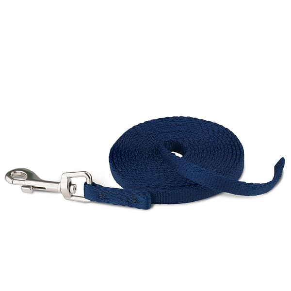 Coachi Puppy Training Line2 1024 Coachi Puppy Training Line2 1024