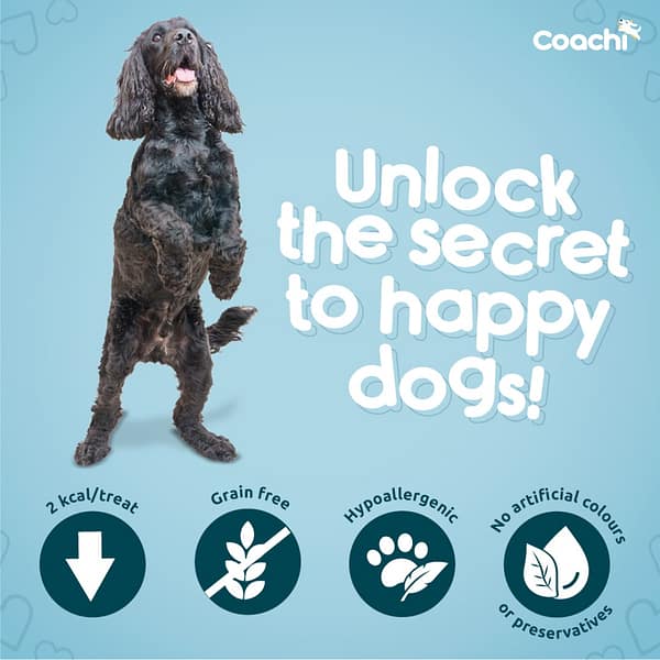 Coachi Training Treats Happy Dogs Infographic 1080px Coachi Training Treats Happy Dogs Infographic 1080px