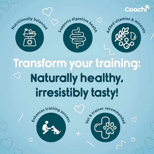 Coachi Training Treats Transform 1080px Coachi Training Treats Transform 1080px