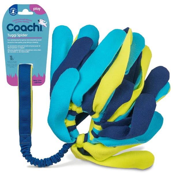 Coachi Tuggi Spider Dog Tug toy