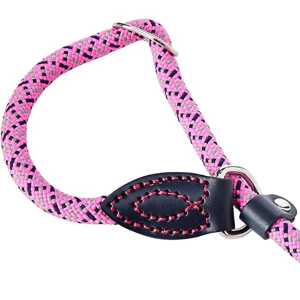 DL4749 Dog & Co Pink Slip Lead Close Up Slider2 1000 DL4749 Dog & Co Pink Slip Lead Close Up Slider2 1000