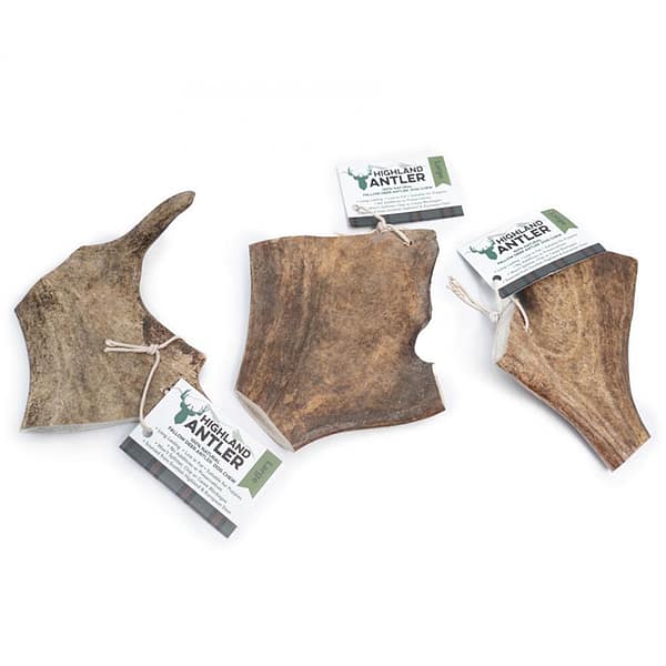 Deer Antler Fallow Large 1024