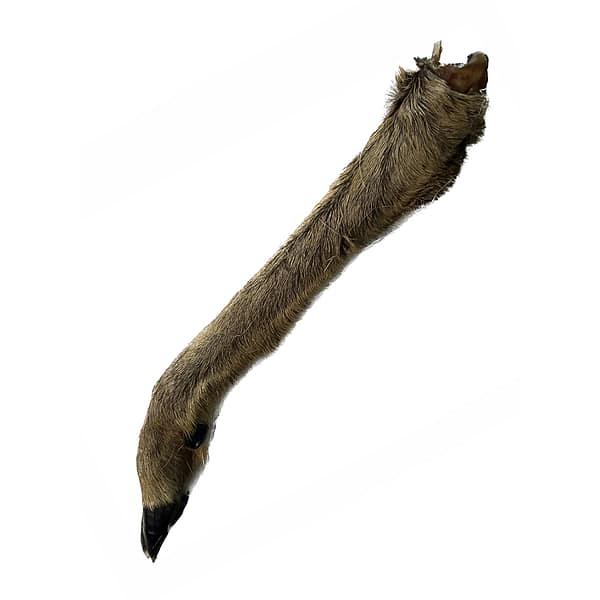 Single Hairy Deer/Venison Leg Natural Dog Treat