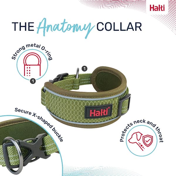 Halti Anatomy Collar Green Features 1080px Halti Anatomy Collar Green Features 1080px