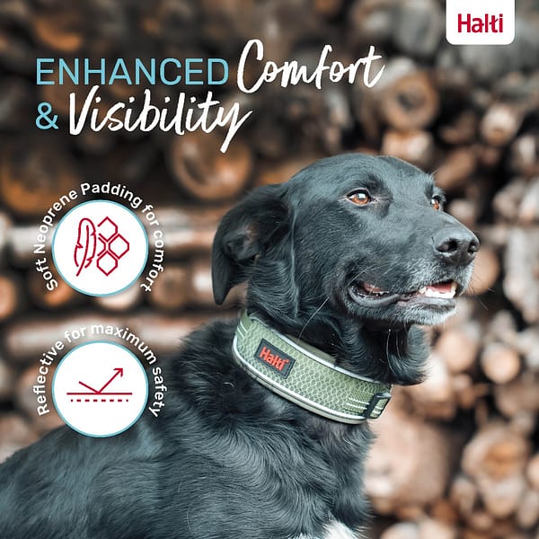 Halti Anatomy Collar Green Lifestyle 1080px Halti Anatomy Collar Green Lifestyle 1080px