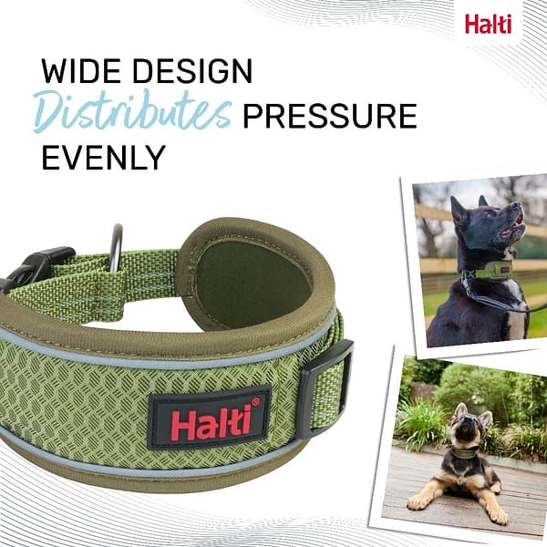 Halti Anatomy Collar Green Wide Design 1080px Halti Anatomy Collar Green Wide Design 1080px