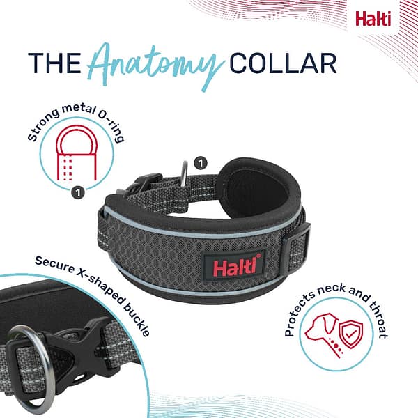 Halti Anatomy Collar Grey Features Guide 1080px Halti Anatomy Collar Grey Features Guide 1080px