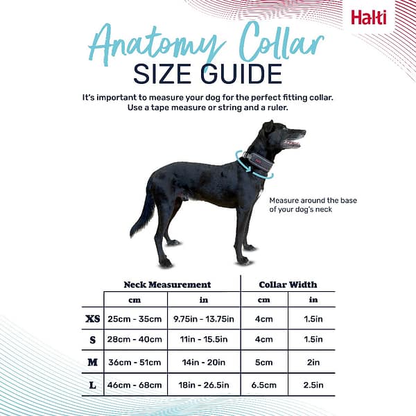 Halti Anatomy Collar Grey Size Guide 1080px Halti Anatomy Collar Size Guide
