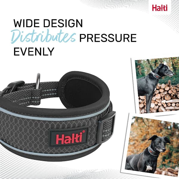 Halti Anatomy Collar Grey Wide Design 1080px Halti Anatomy Collar Grey Wide Design 1080px