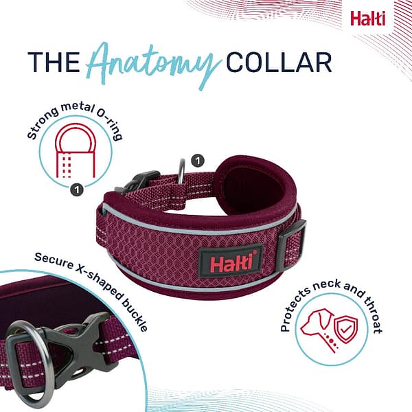 Halti Anatomy Collar Magenta Features 1080px Halti Anatomy Collar Magenta Features 1080px