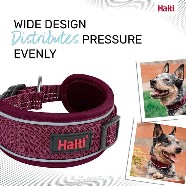 Halti Anatomy Collar Magenta Wide Design 1080px Halti Anatomy Collar Magenta Wide Design 1080px