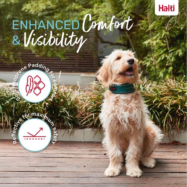 Halti Anatomy Collar Teal Comfort 1080px Halti Anatomy Collar Teal Comfort 1080px