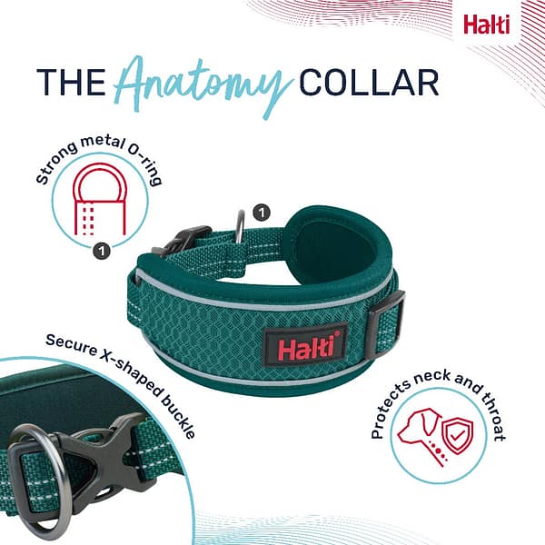 Halti Anatomy Collar Teal Features 1080px Halti Anatomy Collar Teal Features 1080px
